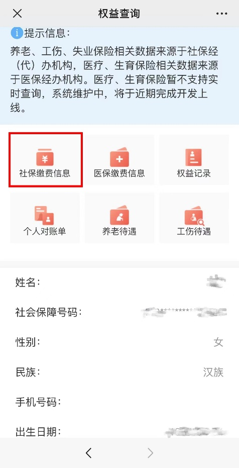 如何查询个人社保缴费信息？