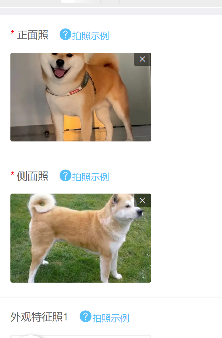 如何办理初次养犬登记？
