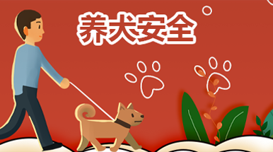 第六季