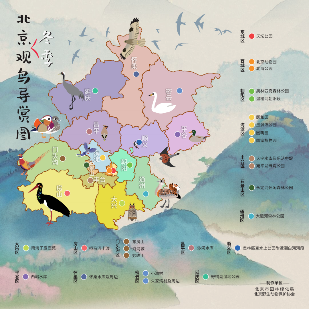 《北京冬季观鸟导赏图》发布 《北京冬季观鸟导赏图》发布