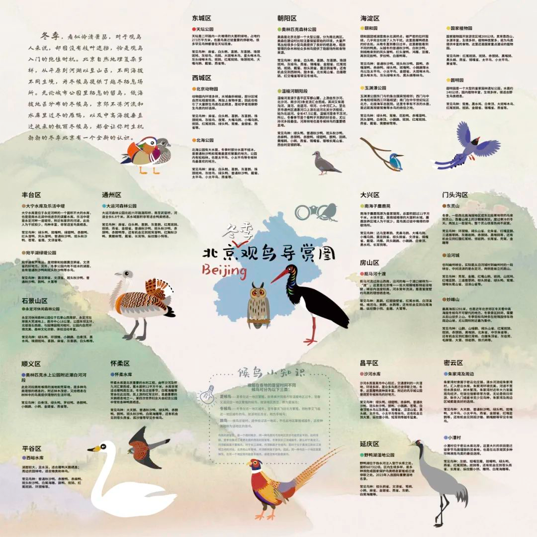 《北京冬季观鸟导赏图》发布 《北京冬季观鸟导赏图》发布