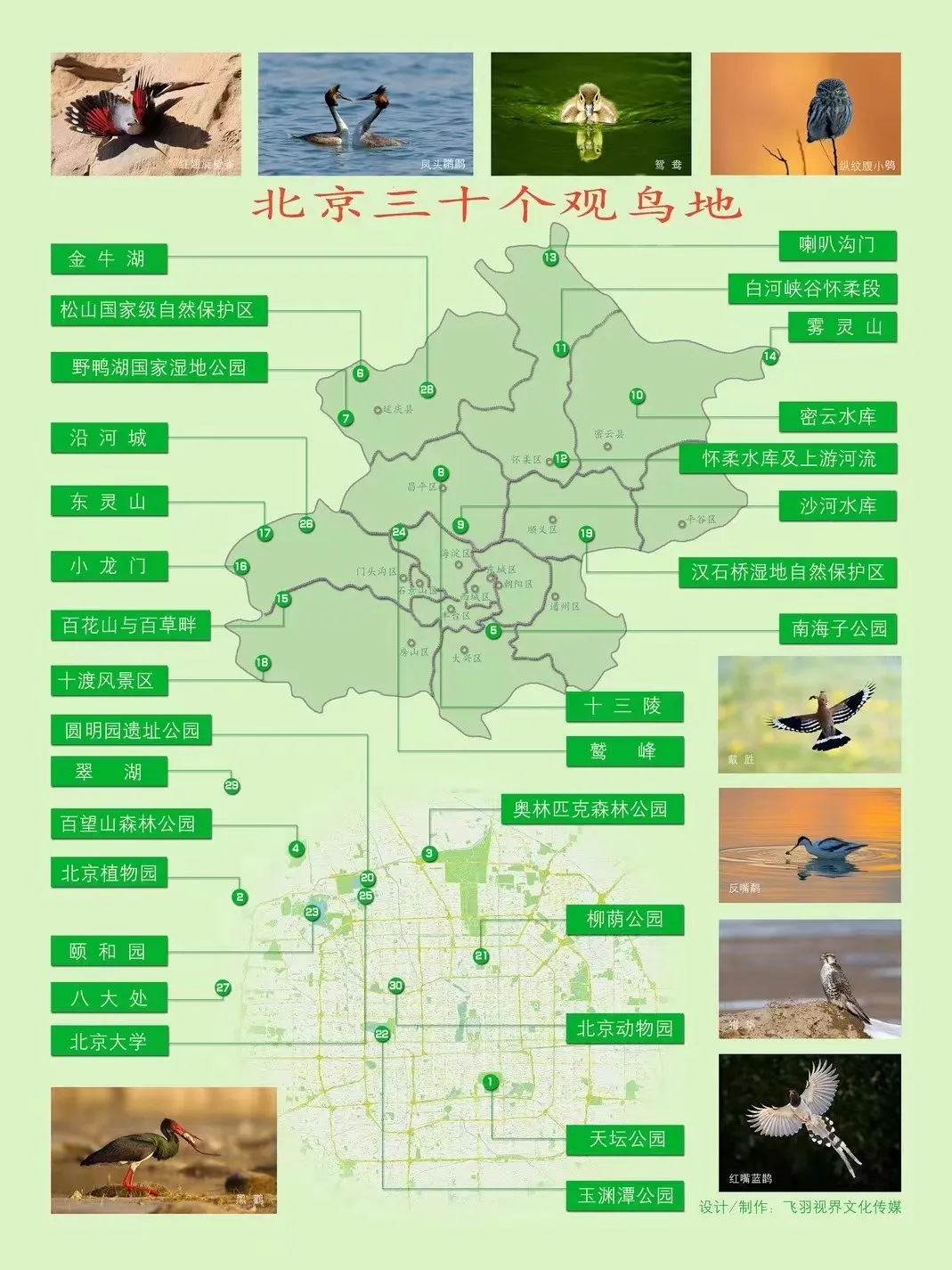 北京的爱鸟周 到什么地方去观鸟? 北京的爱鸟周 到什么地方去观鸟?