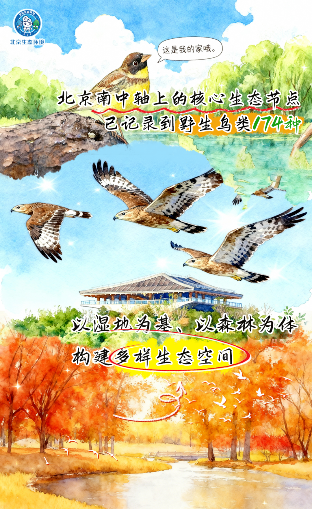 观鸟季倒计时（三） 一起去“打鸟”吧