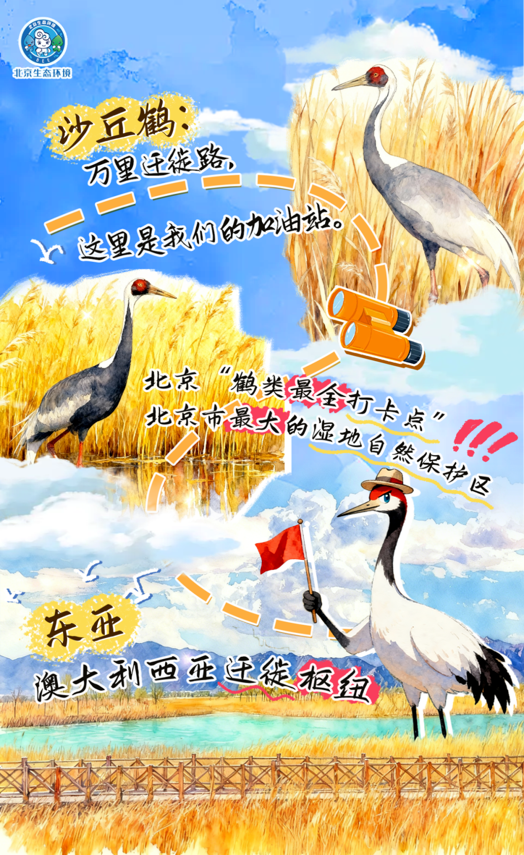观鸟季倒计时（一） 现在就出发！