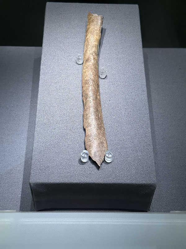 “教戍”甲骨.jpg “教戍”甲骨.jpg