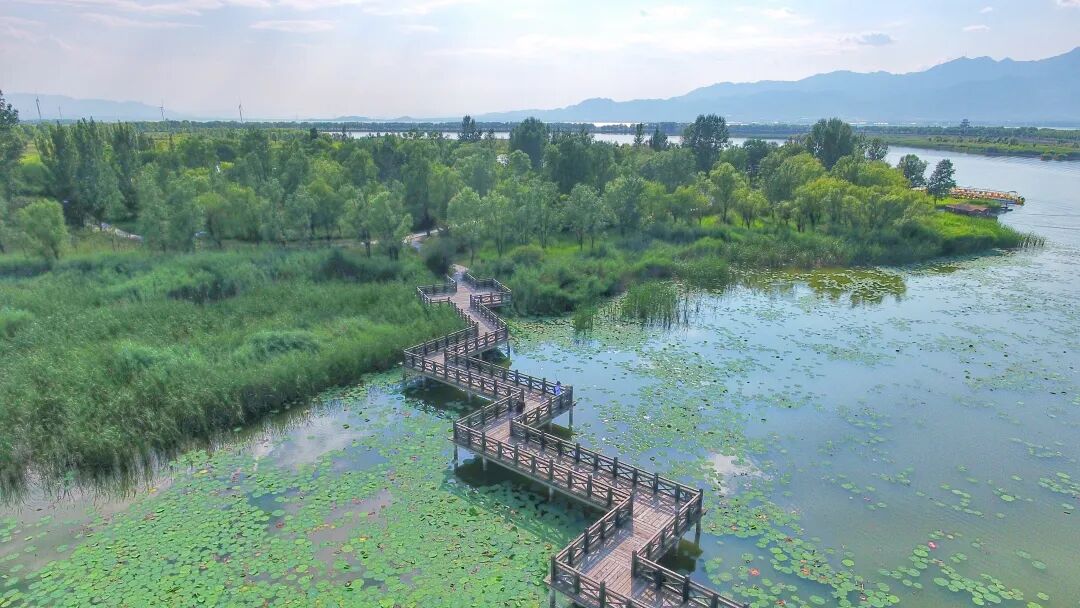 八达岭长城 延庆区供图 世园 延庆区供图 八达岭长城 延庆区供图 世园 延庆区供图