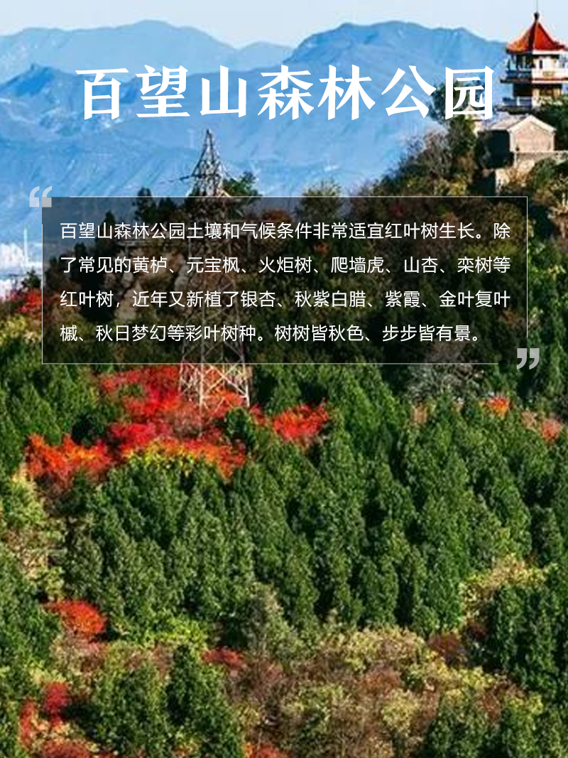 百望山森林公园