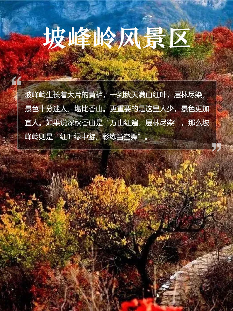 坡峰岭风景区