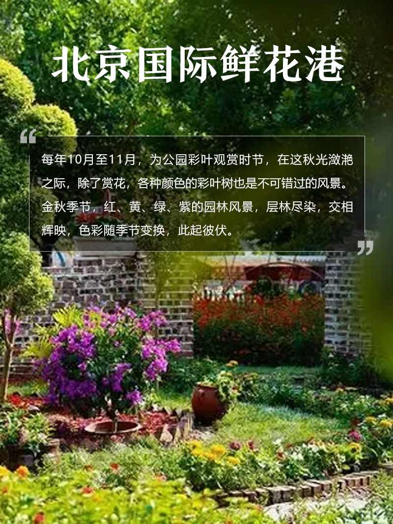北京国际鲜花港