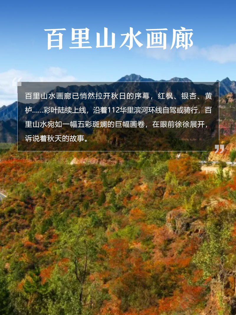 百里山水画廊