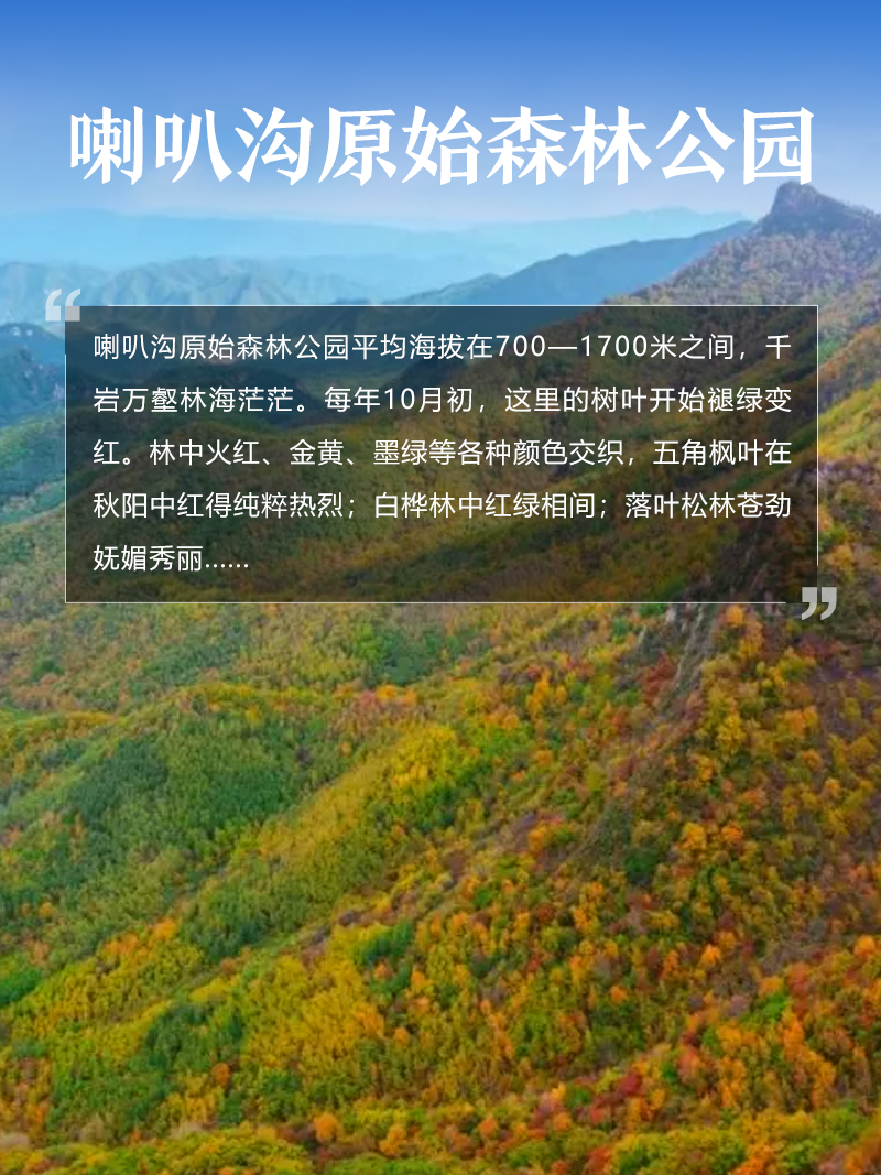 喇叭沟原始森林公园