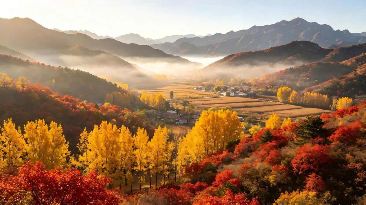 限时美景 十一假期来京郊打卡十条赏秋特色线路