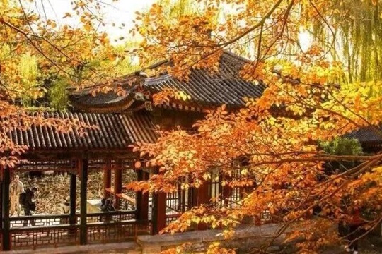 海淀最美金秋 这两条路线值得反复打卡 海淀最美金秋 这两条路线值得反复打卡