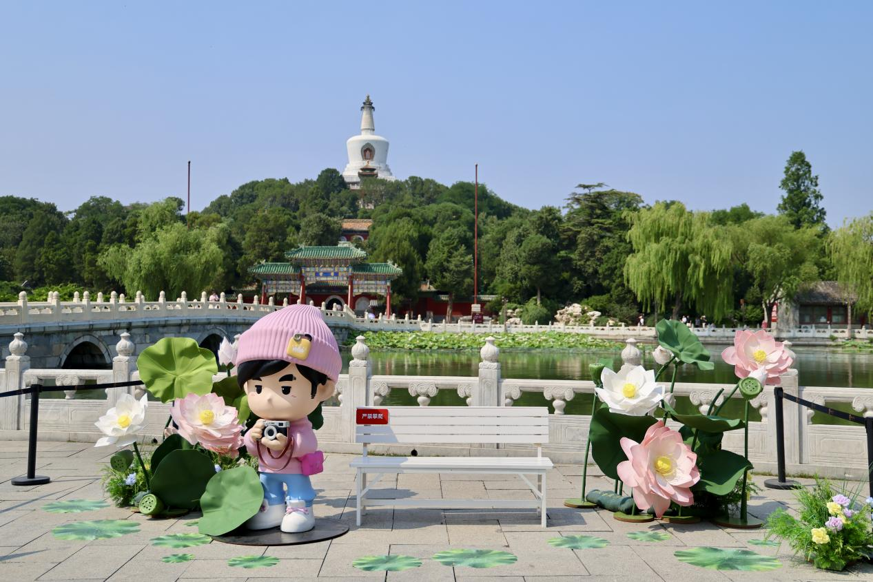 夏日赏荷之北海公园