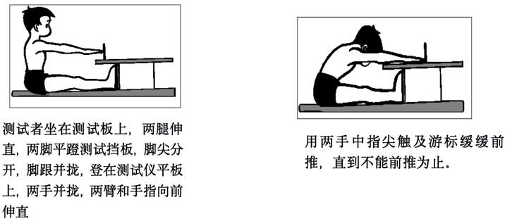 坐位体前屈测试要求及评分标准