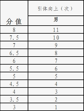 评分标准