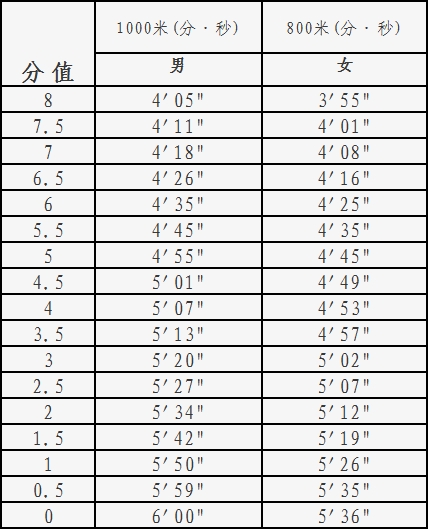 评分标准