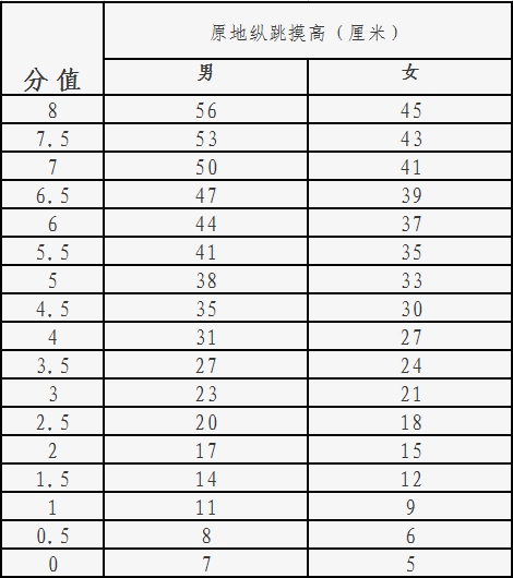 评分标准