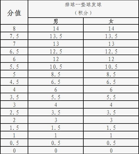 评分标准