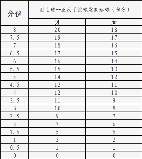 评分标准