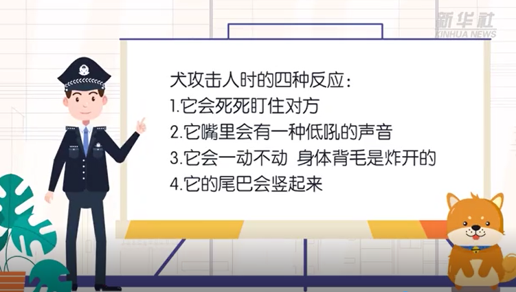 家庭养狗防咬伤 四种反应需提防