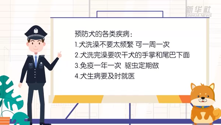 养犬洗澡要吹干 疫苗驱虫要牢记