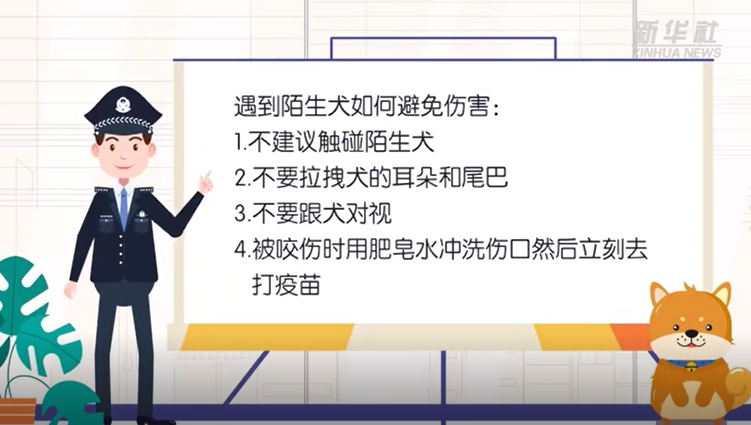 陌生犬类慎触碰 咬伤要用肥皂水
