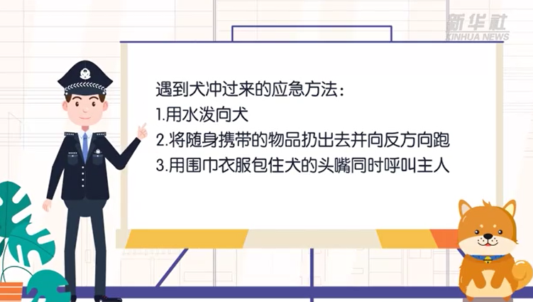 遭遇陌生犬类攻击 三种方法保护你