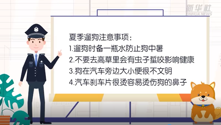 夏季遛狗防中暑 排便远离车轱辘