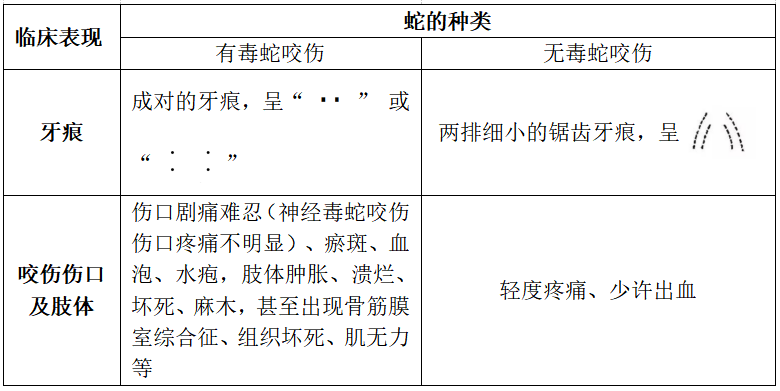 毒蛇与无毒蛇的咬伤特征