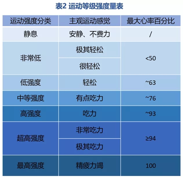 运动等级强度量表