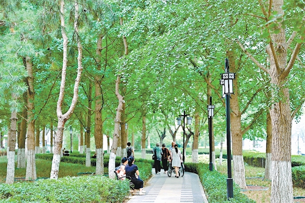 公园在改造过程中丰富树木种类与数量，提升健步慢行系统，让市民尽享绿荫。