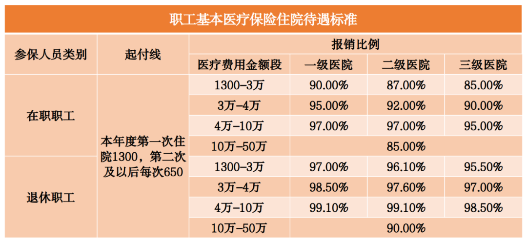 职工基本医疗保险住院待遇标准