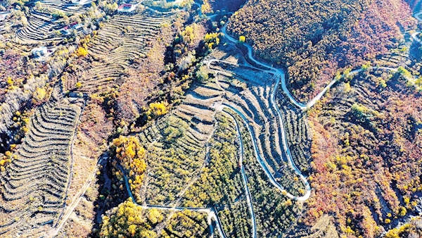 10月20日，门头沟区百花山周边高山峡谷五彩缤纷，迷人的秋色吸引游人驱车打卡。