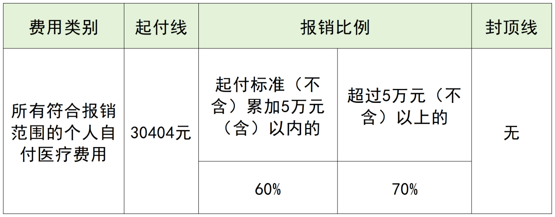 大病保险待遇表