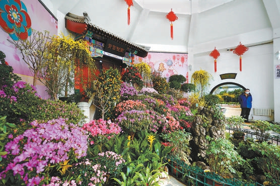 中山公园花展邀市民欣赏最早的春花美景。