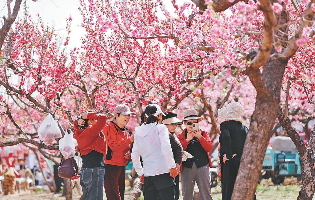 4月15日，第二十六届北京平谷国际桃花节在桃源逸栈拉开帷幕。