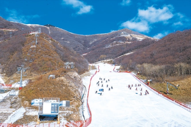 11月22日，国家高山滑雪中心“雪飞燕”开板迎客，冬奥会滑降项目赛道“瑞雪大道”首次向公众开放。