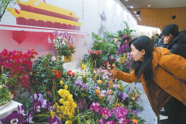 12月30日，2025北京家庭园艺嘉年华暨年宵名花进北京活动在中国插花艺术博物馆开幕。