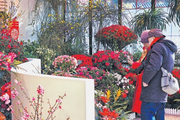中山公园唐花坞举办“唐花传韵 春暖花坞”迎新春花卉精品展。