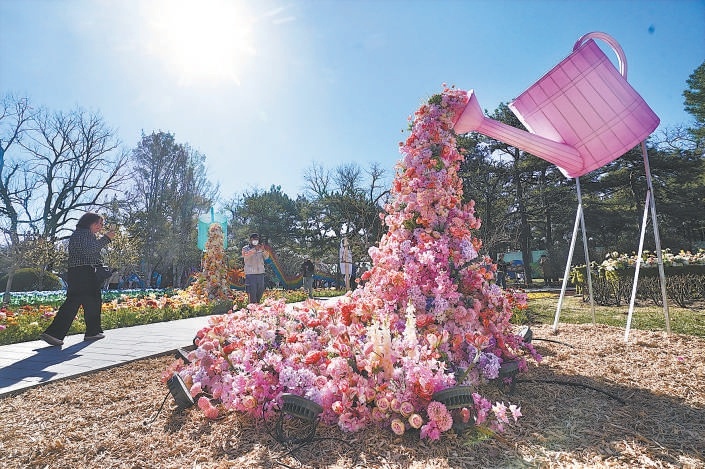 3月20日，日坛公园一路鲜花。在圜坛，祭日典仪重现。