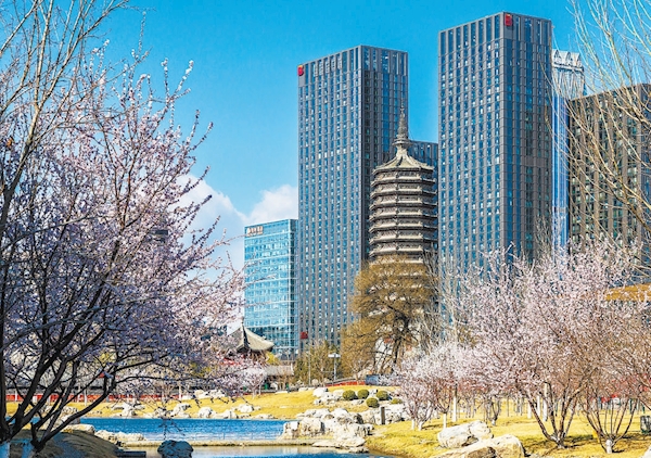 西海子公园内遥望燃灯塔与城市现代建筑群古今交融。