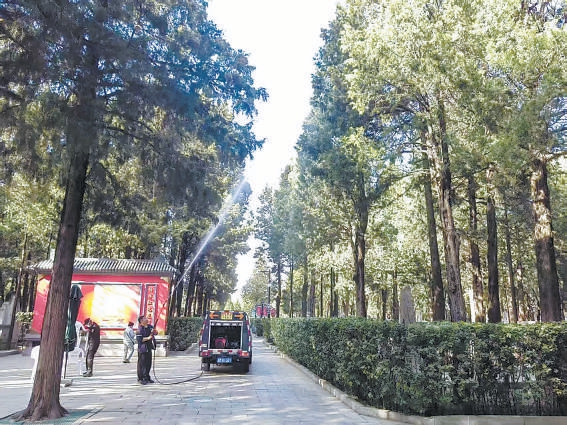 万安公墓为圆柏喷水除粉。