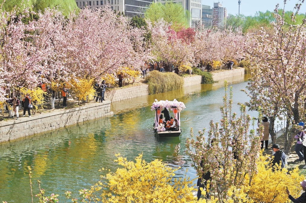 4月2日，“花开北京”赏春系列活动开幕，28个品种5000余株海棠绽放元大都城垣遗址公园海棠花溪。
