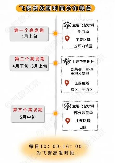 北京疾控提醒您 进入杨柳飞絮期 如何科学防护？