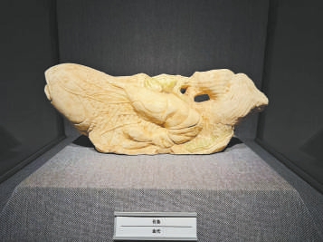 金代石鱼。