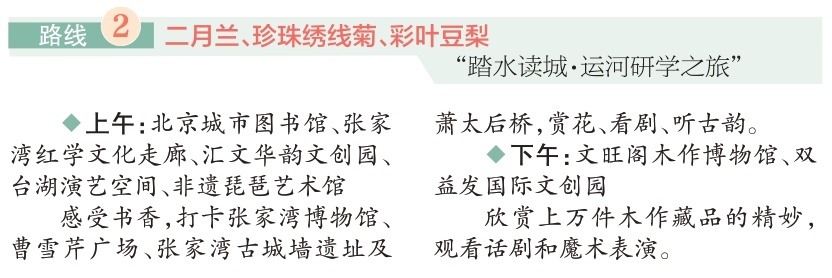 四条“赏花+”特色路线游遍副中心