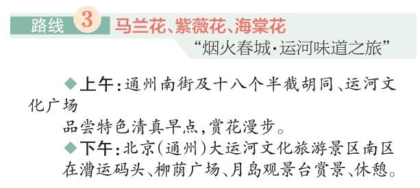 四条“赏花+”特色路线游遍副中心