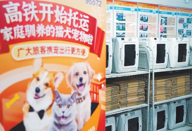 高铁专用宠物运输箱。