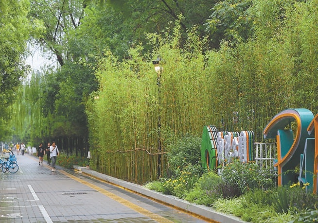 近日，围墙拆除后，公园美景全部“透”出来。